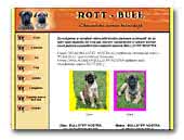 Rott-Bull