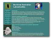 Burnbrae Australian Labradoodles
