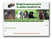 Cameswon Labradors