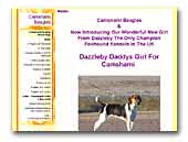 Camshami Beagles and Dazzleby Daddys Gir For Camshami