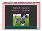 Kennel Caudatus Standard Schnauzer et Affenpinscher