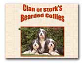 Clan of Stork's Bearded Collies