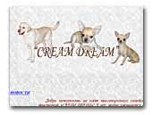 Cream Dream
