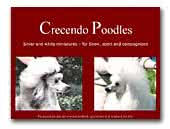 Crecendo poodles