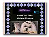 Damount Maltese