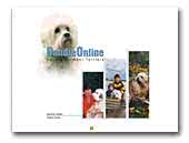 DandieOnline - Dandie Dinmont Terrier