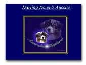 Darling Down's Australian Shepherds