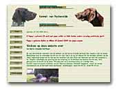 German Shorthaired Pointer Kennel van Ryckevelde