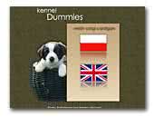 Dummles welsh corgi cardigan kennel