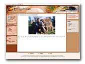 El Bosque de Lugh Weimaraners