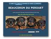 Beauceron du Perouet