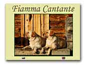 Fiamma Cantante