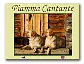 Fiamma Cantante