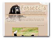 Chinese Crested Dogs Kennel Forseti's