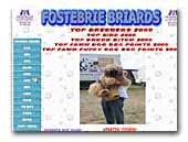 Fostebrie Briards