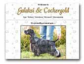 Kennel Galaksi & Cockergold