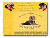 Yorkshire Terriers from Royal Prezent