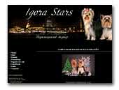 Igora Stars Yorshire Terrier