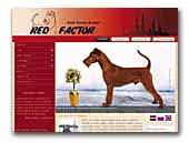 Irish Terrier Kennel Red Factor