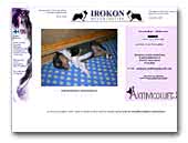 Irokon Rough Collies