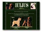 Iulius Airedale Terrier & Irish Soft Coated Wheaten Terrier