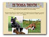 kennel Iz Doma DendiAmerican Staffordshire Terrier and French Bulldogs