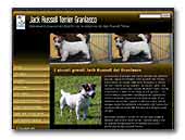 Allevamento jack russell terrier Granlasco