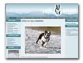 Jolly Joker Boston Terrier