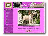 Kennel Ibeth Pugs