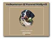 Bernese Mountain Dog Kennel Nellyvill