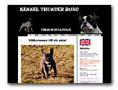  Kennel Thunder Road - French Bulldogs