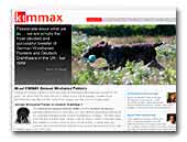 Kimmax Deutsch Drahthaar's/German Wirehaired Pointers