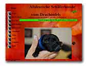 Altdeutsche Schäferhunde vom Drachenfels