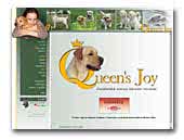 Queens joy labradors