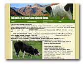 lakedistrictworkingsheepdogs.co.uk