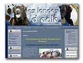 Les Landes d'Eole Labrador Retrievers