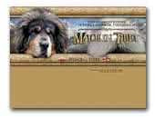 Tibetan Mastiff kennel Made in Tibet 
