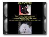 Magicstar Poodles