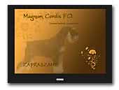 Magnum Cordis Kennel