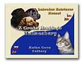 Retriever Kennel Z Grodu Hrabiego Malmesbury