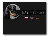 Metheora FCI hodowla psów manchester terrier