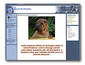 Shar Pei Du Manoir De Kerlessy