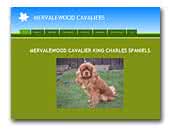 Mervalewood Cavalier King Charles Spaniels