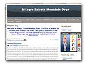 Milagre Estrela Mountain Dogs