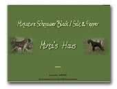 Mirta's Haus Kennel Black/Salt & Pepper Miniature Schnauzer