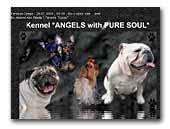 Kennel Angels with Pure Soul