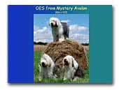 OES from Mystery Avalon