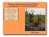 kennel Nasha Marka