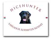 Nicehunter Labrador Retriever kennel