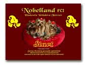 Yorkshire Terrier Nobelland FCI